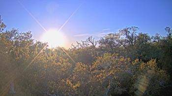 Weather camera view of Metairie Club Gardens.