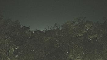 Weather camera view of Metairie Club Gardens.