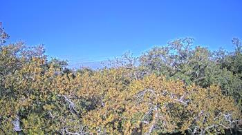Weather camera view of Metairie Club Gardens.
