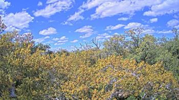 Weather camera view of Metairie Club Gardens.