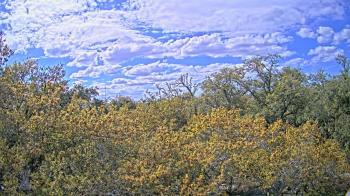 Weather camera view of Metairie Club Gardens.