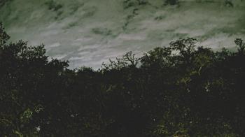 Weather camera view of Metairie Club Gardens.