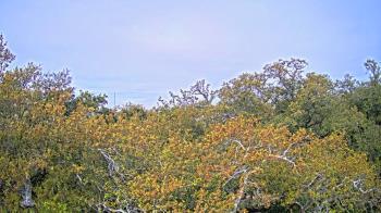 Weather camera view of Metairie Club Gardens.