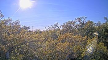 Weather camera view of Metairie Club Gardens.
