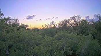 Weather camera view of Metairie Club Gardens.