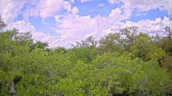 Weather camera view of Metairie Club Gardens.