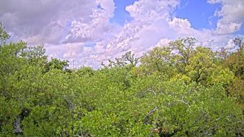 Weather camera view of Metairie Club Gardens.