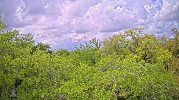 Weather camera view of Metairie Club Gardens.