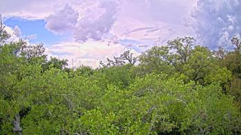 Weather camera view of Metairie Club Gardens.