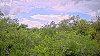 Weather camera view of Metairie Club Gardens.