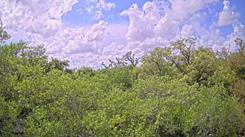 Weather camera view of Metairie Club Gardens.