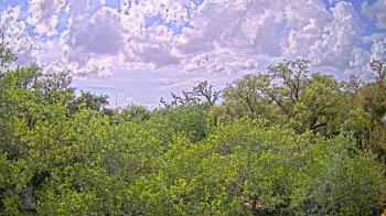 Weather camera view of Metairie Club Gardens.