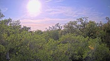 Weather camera view of Metairie Club Gardens.