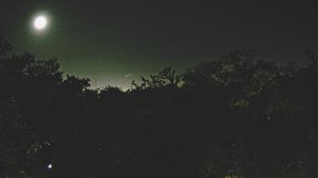 Weather camera view of Metairie Club Gardens.