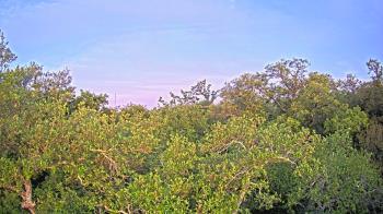 Weather camera view of Metairie Club Gardens.