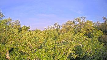 Weather camera view of Metairie Club Gardens.