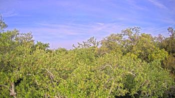 Weather camera view of Metairie Club Gardens.