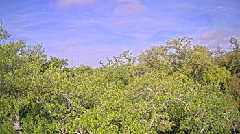 Weather camera view of Metairie Club Gardens.