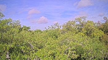 Weather camera view of Metairie Club Gardens.