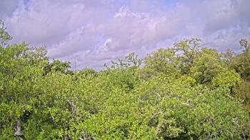 Weather camera view of Metairie Club Gardens.