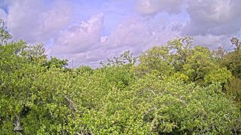 Weather camera view of Metairie Club Gardens.