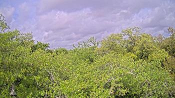 Weather camera view of Metairie Club Gardens.