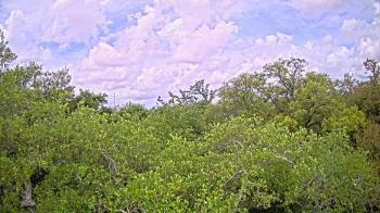 Weather camera view of Metairie Club Gardens.