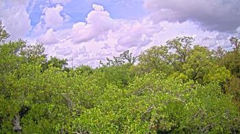 Weather camera view of Metairie Club Gardens.