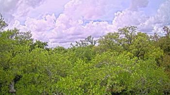 Weather camera view of Metairie Club Gardens.