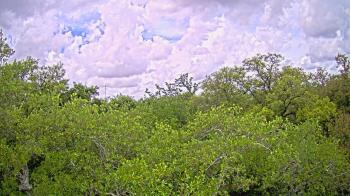 Weather camera view of Metairie Club Gardens.