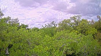 Weather camera view of Metairie Club Gardens.