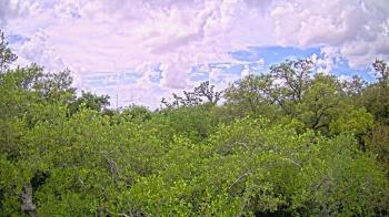 Weather camera view of Metairie Club Gardens.