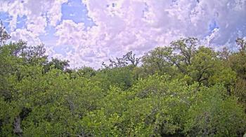 Weather camera view of Metairie Club Gardens.