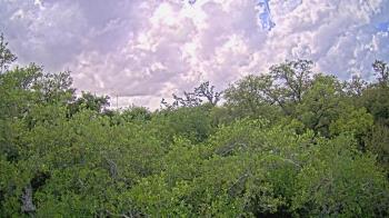 Weather camera view of Metairie Club Gardens.