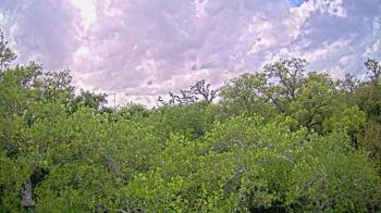 Weather camera view of Metairie Club Gardens.