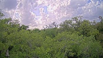 Weather camera view of Metairie Club Gardens.