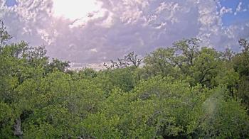 Weather camera view of Metairie Club Gardens.