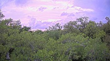 Weather camera view of Metairie Club Gardens.