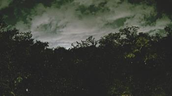 Weather camera view of Metairie Club Gardens.