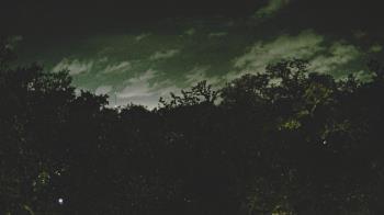 Weather camera view of Metairie Club Gardens.