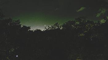 Weather camera view of Metairie Club Gardens.