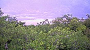 Weather camera view of Metairie Club Gardens.