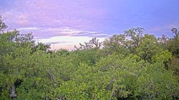 Weather camera view of Metairie Club Gardens.