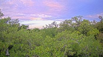 Weather camera view of Metairie Club Gardens.