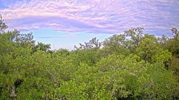 Weather camera view of Metairie Club Gardens.