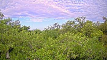 Weather camera view of Metairie Club Gardens.