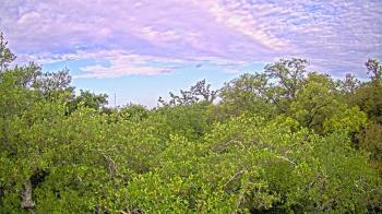 Weather camera view of Metairie Club Gardens.