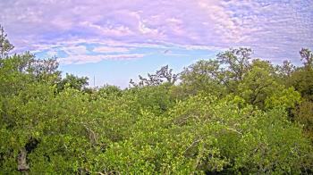 Weather camera view of Metairie Club Gardens.