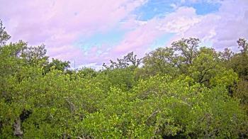 Weather camera view of Metairie Club Gardens.