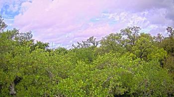 Weather camera view of Metairie Club Gardens.
